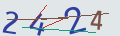 verifycode